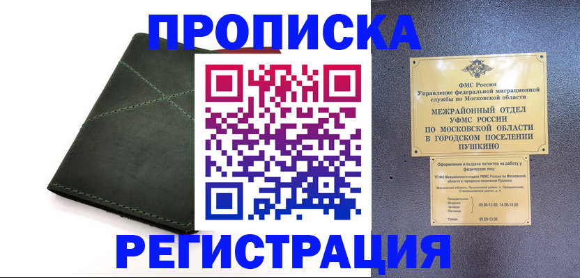 прописка в квартире в Кольчугино